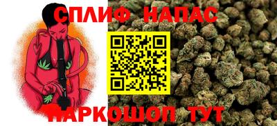 гидра Волжский