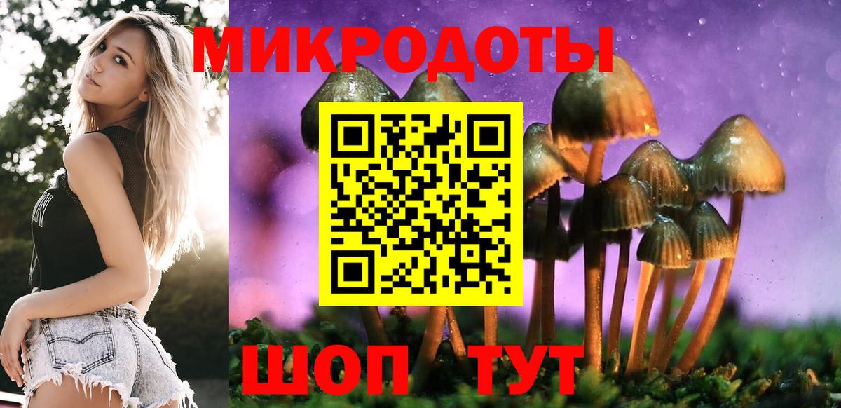 Галлюциногенные грибы Magic Shrooms Нижневартовск