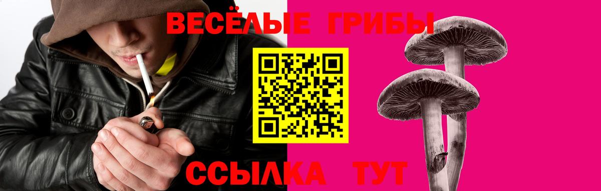 Нижневартовск  Галлюциногенные грибы MAGIC MUSHROOMS  Вход с VPN  Псилоцибиновые грибы Magic Shrooms 